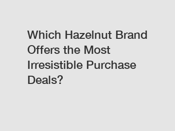 Which Hazelnut Brand Offers the Most Irresistible Purchase Deals?