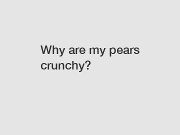 Why are my pears crunchy?