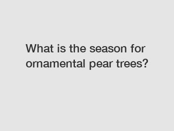 What is the season for ornamental pear trees?