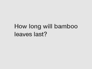 How long will bamboo leaves last?