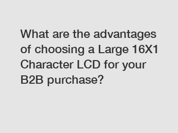What are the advantages of choosing a Large 16X1 Character LCD for your B2B purchase?