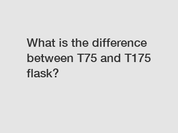 What is the difference between T75 and T175 flask?