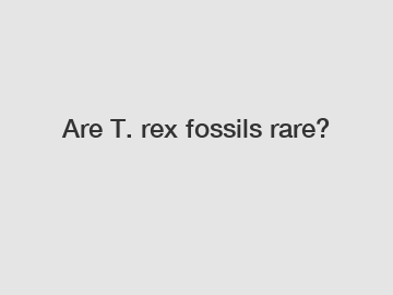 Are T. rex fossils rare?