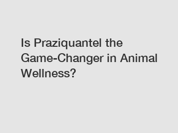 Is Praziquantel the Game-Changer in Animal Wellness?