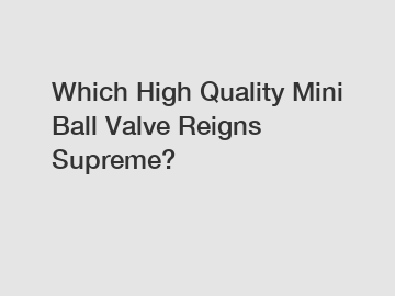 Which High Quality Mini Ball Valve Reigns Supreme?