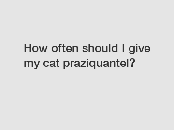 How often should I give my cat praziquantel?