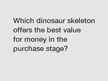 Which dinosaur skeleton offers the best value for money in the purchase stage?