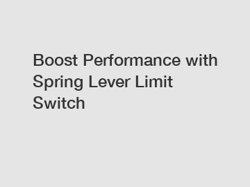 Boost Performance with Spring Lever Limit Switch