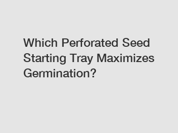 Which Perforated Seed Starting Tray Maximizes Germination?