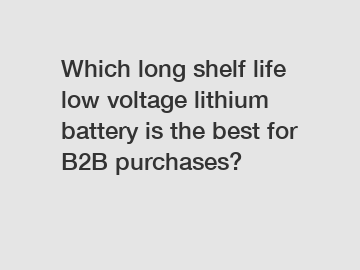 Which long shelf life low voltage lithium battery is the best for B2B purchases?