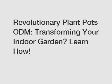 Revolutionary Plant Pots ODM: Transforming Your Indoor Garden? Learn How!