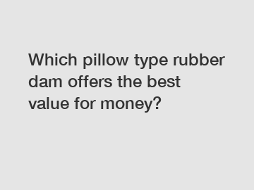 Which pillow type rubber dam offers the best value for money?