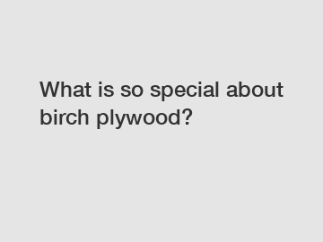 What is so special about birch plywood?
