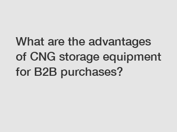 What are the advantages of CNG storage equipment for B2B purchases?