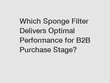Which Sponge Filter Delivers Optimal Performance for B2B Purchase Stage?