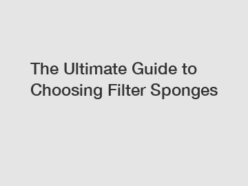 The Ultimate Guide to Choosing Filter Sponges