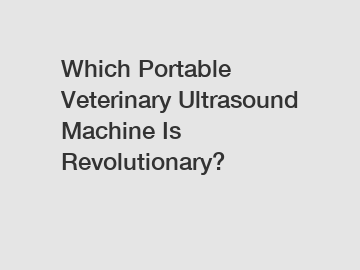 Which Portable Veterinary Ultrasound Machine Is Revolutionary?