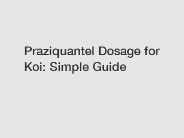 Praziquantel Dosage for Koi: Simple Guide