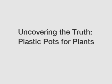 Uncovering the Truth: Plastic Pots for Plants