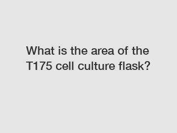 What is the area of the T175 cell culture flask?