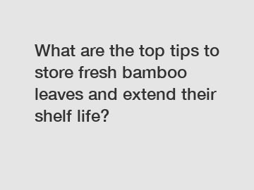 What are the top tips to store fresh bamboo leaves and extend their shelf life?