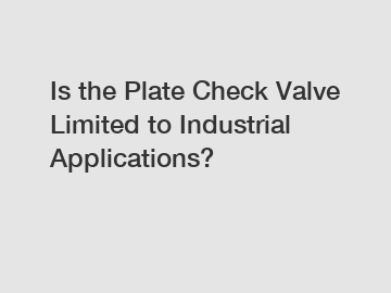 Is the Plate Check Valve Limited to Industrial Applications?