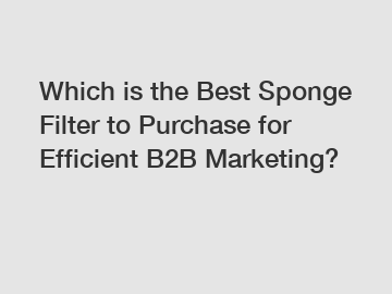 Which is the Best Sponge Filter to Purchase for Efficient B2B Marketing?