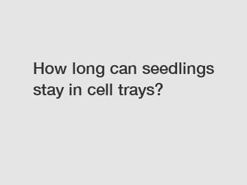 How long can seedlings stay in cell trays?