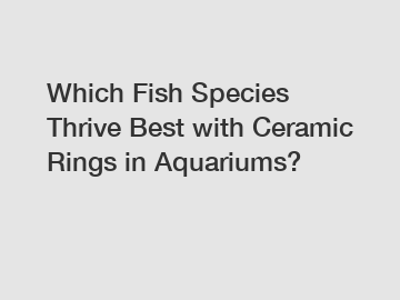 Which Fish Species Thrive Best with Ceramic Rings in Aquariums?