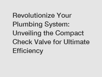 Revolutionize Your Plumbing System: Unveiling the Compact Check Valve for Ultimate Efficiency