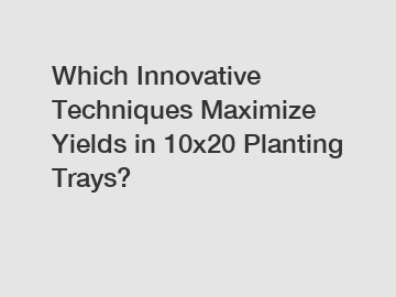 Which Innovative Techniques Maximize Yields in 10x20 Planting Trays?