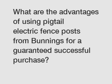 What are the advantages of using pigtail electric fence posts from Bunnings for a guaranteed successful purchase?