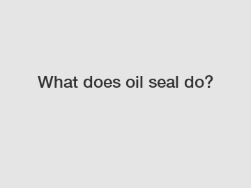 What does oil seal do?