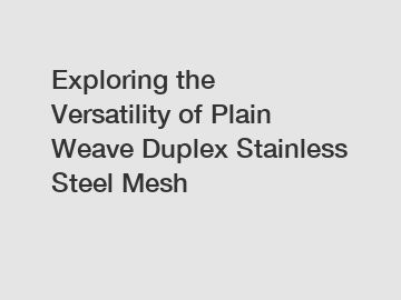 Exploring the Versatility of Plain Weave Duplex Stainless Steel Mesh