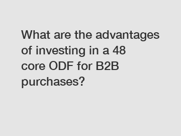 What are the advantages of investing in a 48 core ODF for B2B purchases?