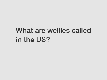 What are wellies called in the US?