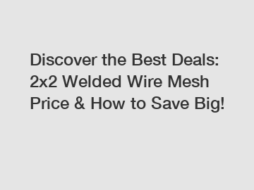 Discover the Best Deals: 2x2 Welded Wire Mesh Price & How to Save Big!