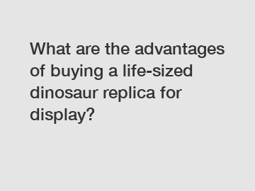 What are the advantages of buying a life-sized dinosaur replica for display?