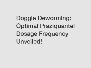 Doggie Deworming: Optimal Praziquantel Dosage Frequency Unveiled!
