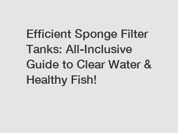 Efficient Sponge Filter Tanks: All-Inclusive Guide to Clear Water & Healthy Fish!