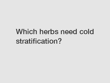 Which herbs need cold stratification?
