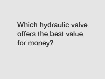 Which hydraulic valve offers the best value for money?