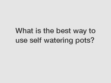 What is the best way to use self watering pots?