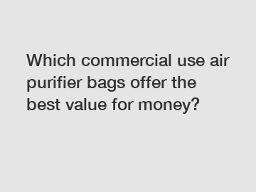 Which commercial use air purifier bags offer the best value for money?
