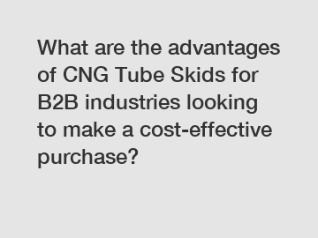 What are the advantages of CNG Tube Skids for B2B industries looking to make a cost-effective purchase?