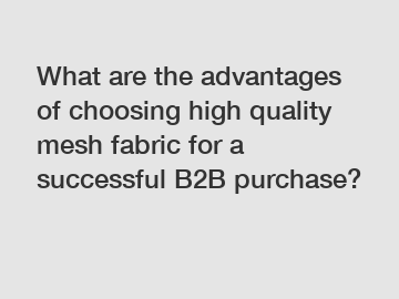 What are the advantages of choosing high quality mesh fabric for a successful B2B purchase?