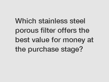 Which stainless steel porous filter offers the best value for money at the purchase stage?