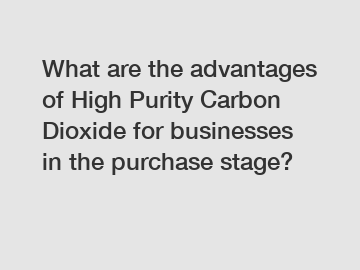 What are the advantages of High Purity Carbon Dioxide for businesses in the purchase stage?