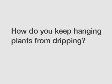 How do you keep hanging plants from dripping?