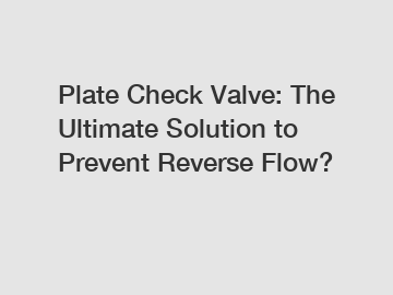 Plate Check Valve: The Ultimate Solution to Prevent Reverse Flow?